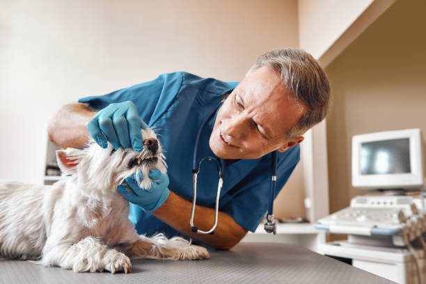 Best Same-Day Emergency Dentist in Riverdale, NJ
